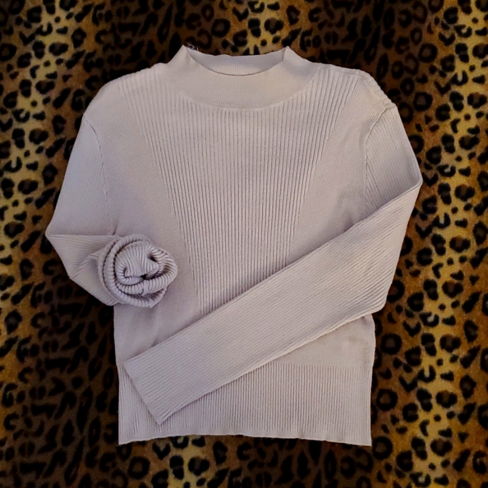 New York and Company Cropped Turtleneck Top